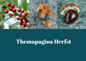 Themapagina herfst- met kleuters werken aan digitale geletterdheid.