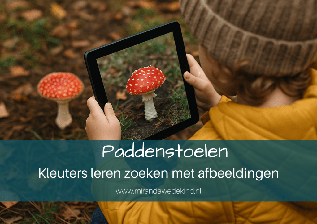 Paddenstoelen.png 1 Paddenstoelen – kleuters leren zoeken met afbeeldingen